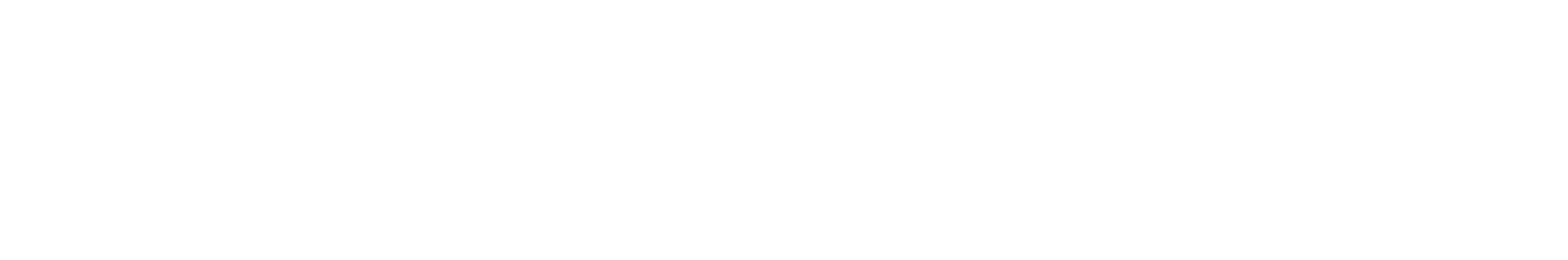 The Capri Desssecker Team